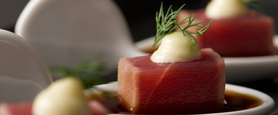 imgi_9_searedtuna1200x500.jpeg