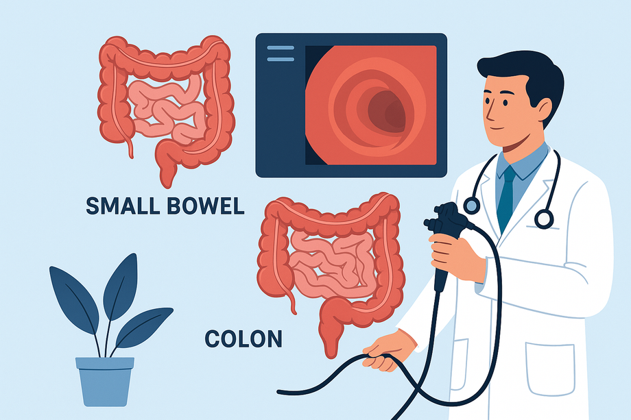 smallbowelandcolonproblems.png