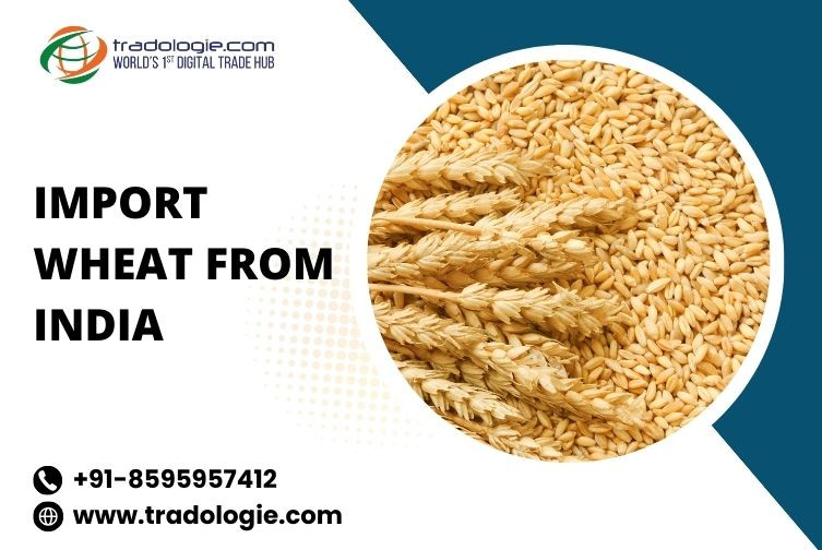 31importwheatfromindia.jpg