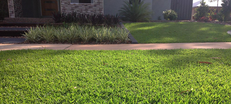 lawncaredarwin.jpg