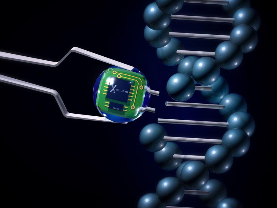 e4818427biosensorsscaled1536x1152.jpg