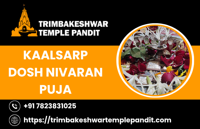 kaalsarpdoshnivaranpuja.png
