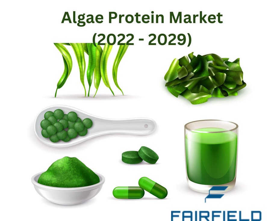 algaeproteinmarket.jpg