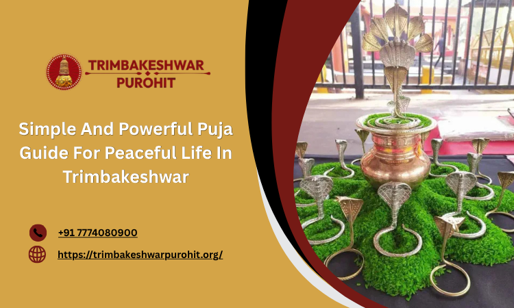 simpleandpowerfulpujaguideforpeacefullifeintrimbakeshwar.png