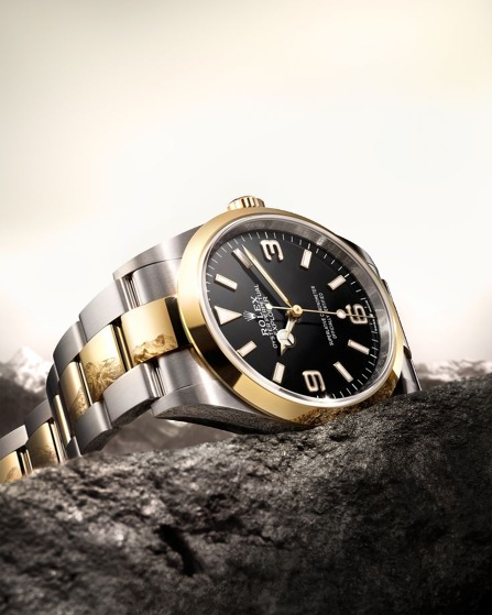 rolex_explorer_36removebgpreview.png