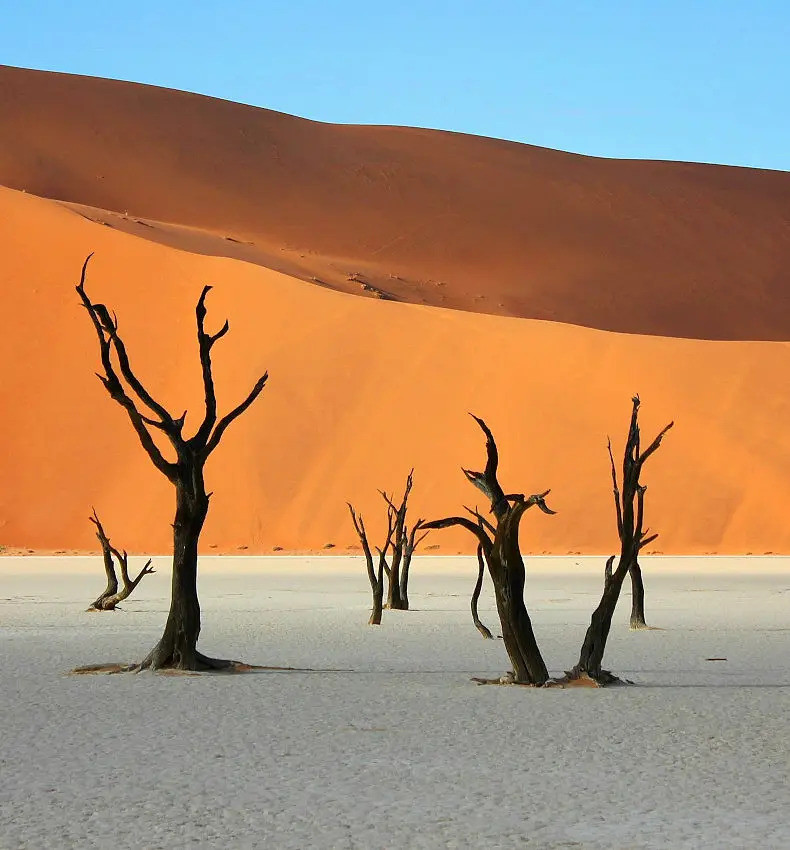_namibia.jpg