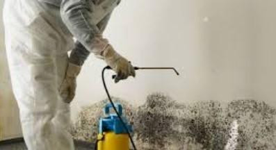 mouldcleaningservices.jpg