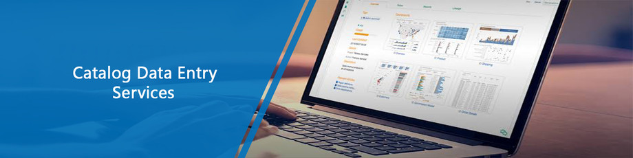 catalogdataentryservices.jpg
