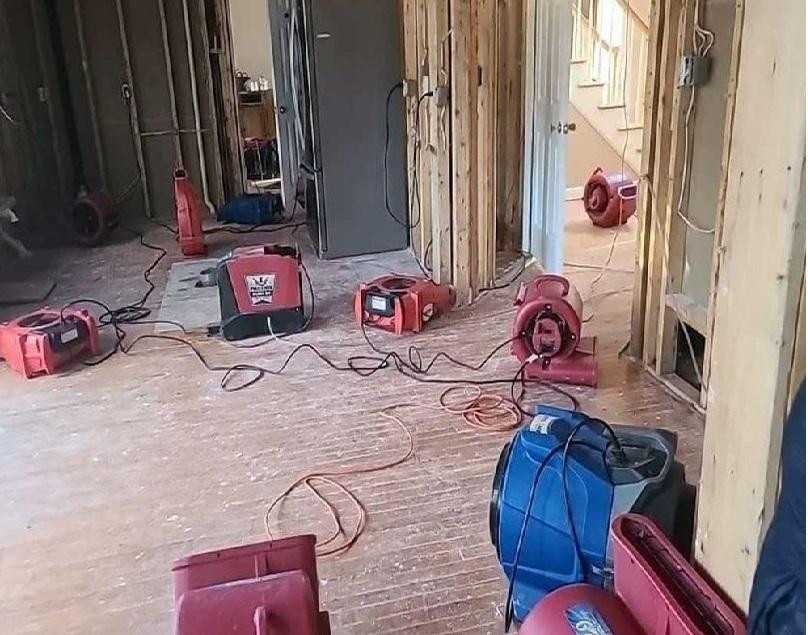 dasdasdasd.jpg