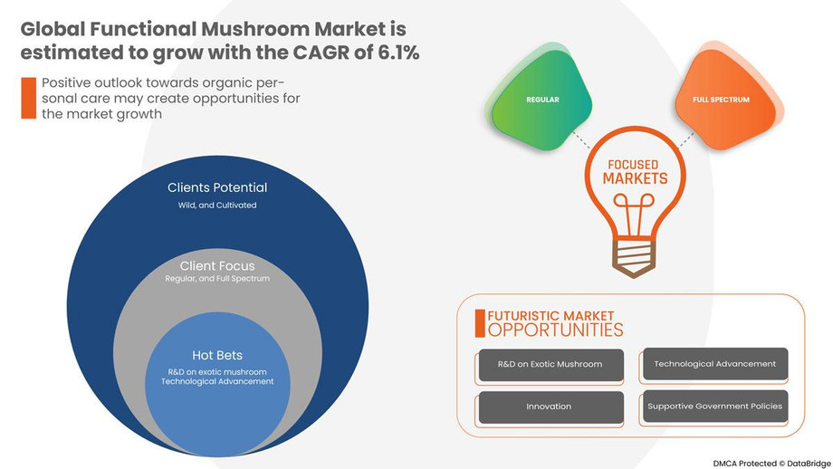 1globalfunctionalmushroomapril1704.jpg