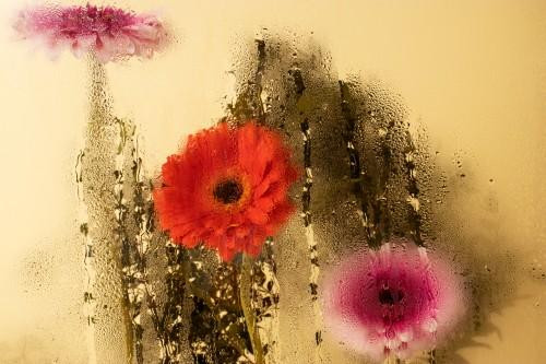 abstractfloralcanvaswallart.jpg