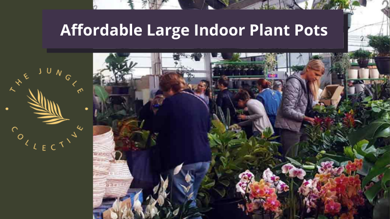 mostreasonablelargeindoorplantpots1.png