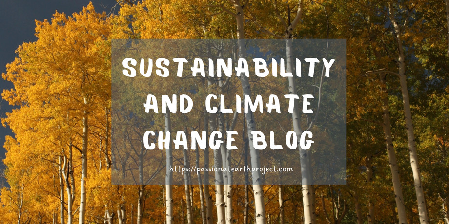 sustainabilityandclimatechangeblog1.jpg