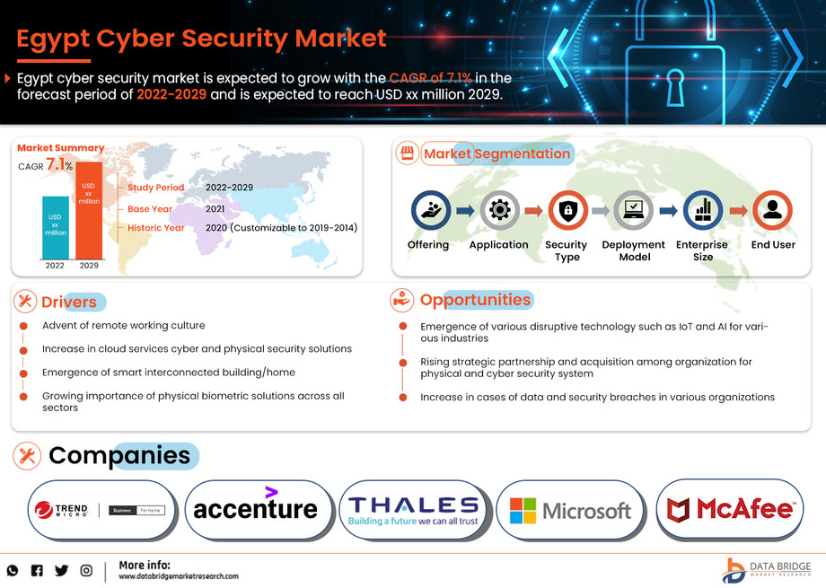 egyptcybersecuritymarket.jpg