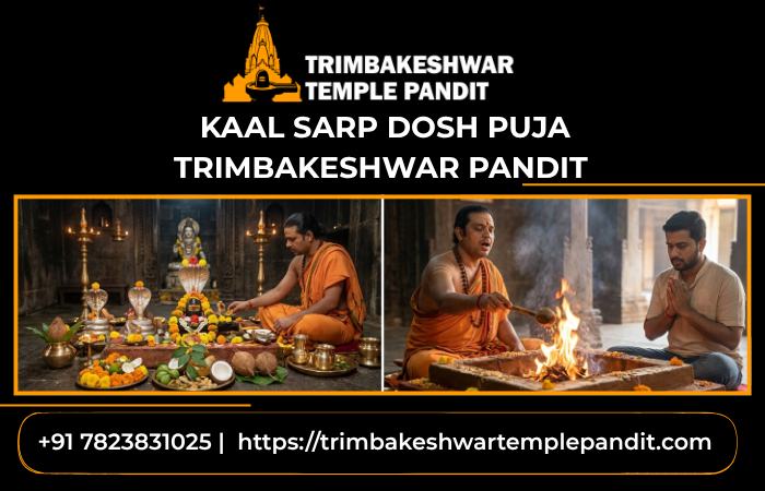 kaalsarpdoshpujatrimbakeshwarpandit.png