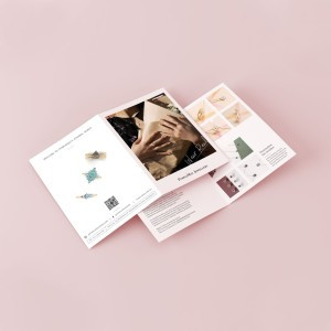 4ppa5brochure2.jpg