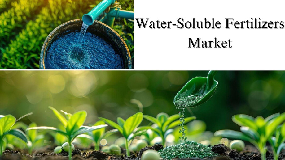 watersolublefertilizersmarket.jpg