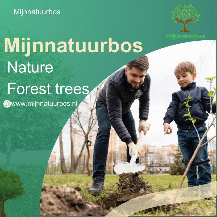 mijnnatuurbosnaturalforesttrees.jpg