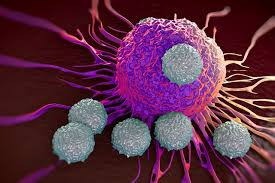 immunooncologyassays5.jpg