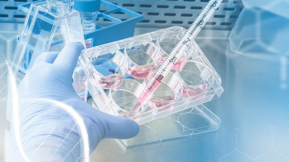 bioassayservicesmarket.jpg