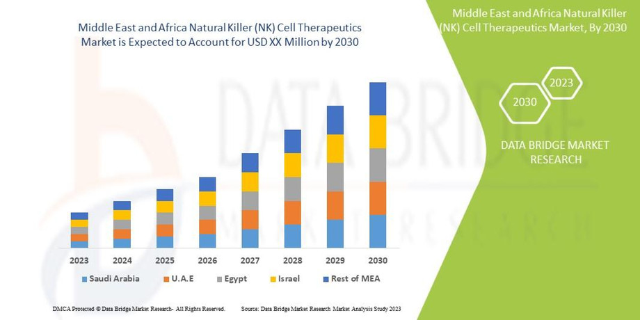 middleeastandafricanaturalkillernkcelltherapeuticsmarket.jpg