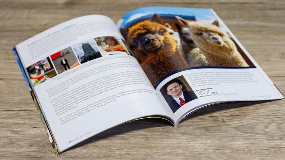 spectraprintingmagazine.jpg
