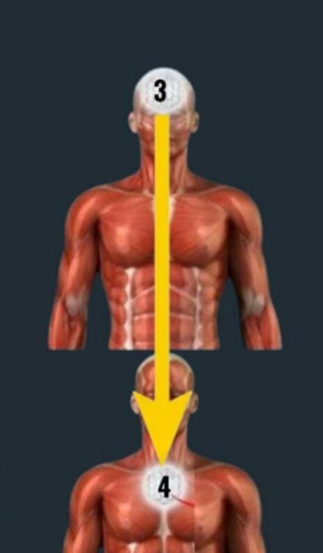 20250220030106.jpg