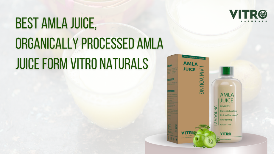 bestamlajuiceorganicallyprocessedamlajuiceformvitronaturals.png