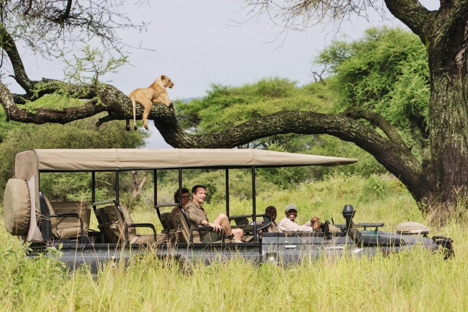 Into the Wilderness: Expertly Led Safari Adventures in Kenya and Tanzania's Prime Safari Spots