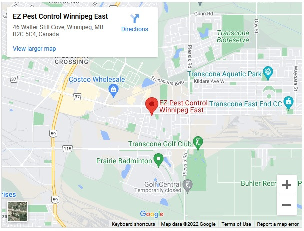 img01_ezpestcontrolwinnipeg.jpg