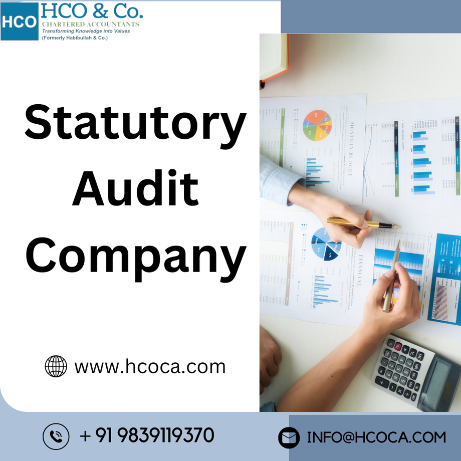 _statutoryauditcompany1.png