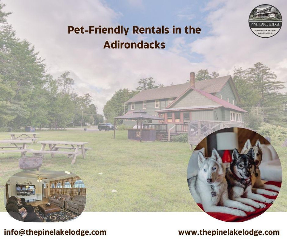 petfriendlyrentalsinadirondacks.jpg