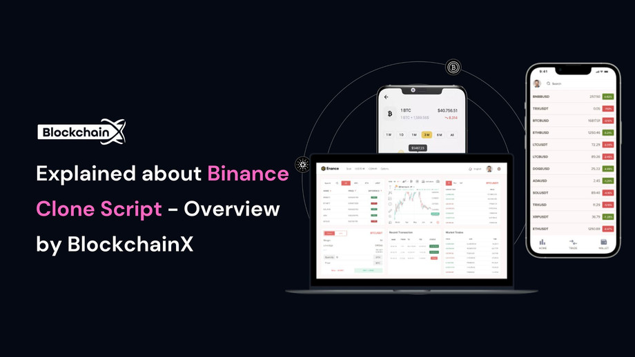 explainedaboutbinanceclonescriptoverviewbyblockchainx.jpg