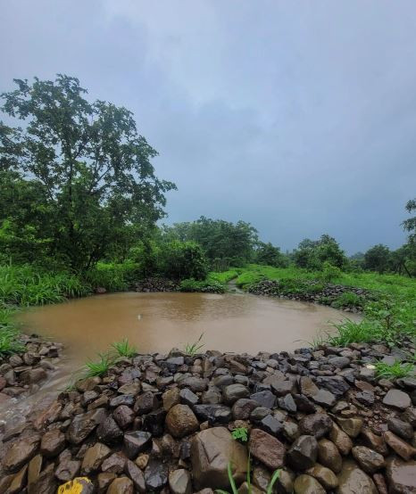 naturalwaterharvestingfarm.JPG