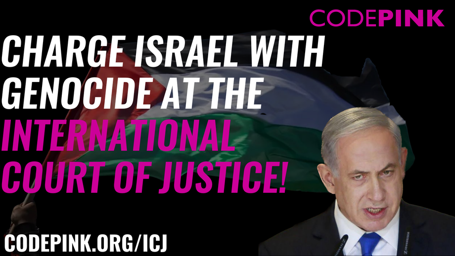israel_at_icj.png