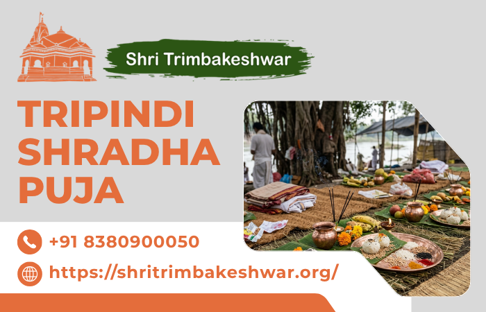 tripindishradhapuja.png