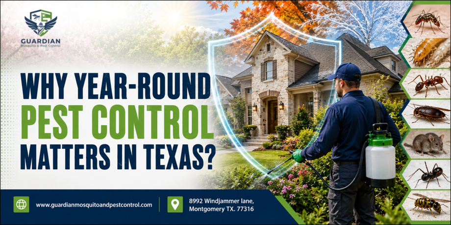whyyearroundpestcontrolmattersintexas.png