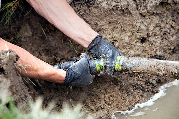 istockphoto510007257612x612.jpg