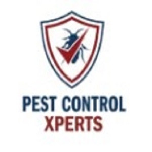 logo.jpg