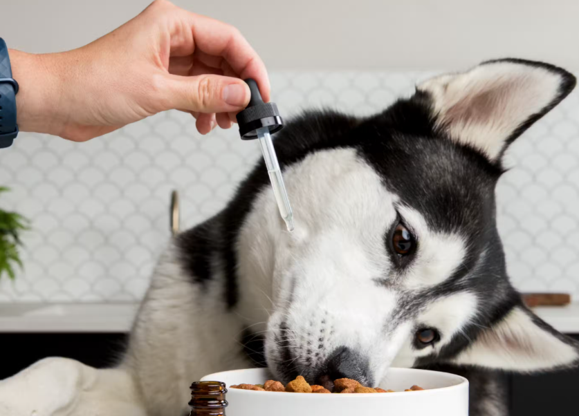 cbdforlargedogs.png