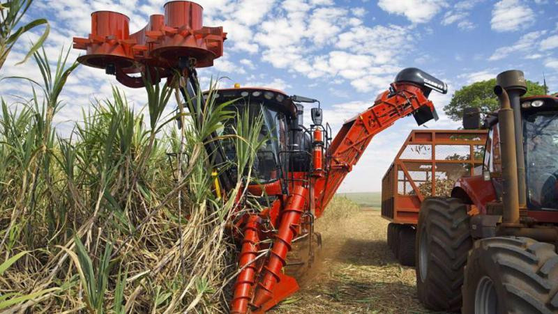 sugarcaneharvester.jpg