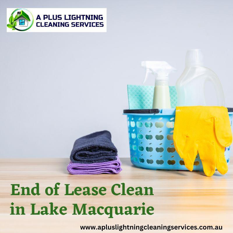 endofleasecleanlakemacquarie.jpg