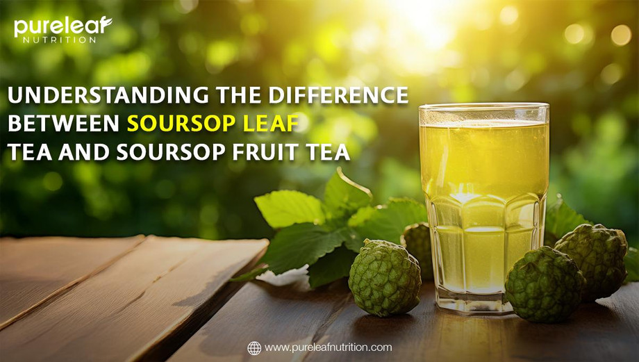 understandingthedifferencebetweensoursopleafteaandsoursopfruittea.jpg