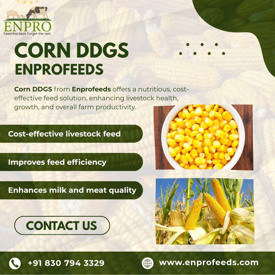 cornddgsenpro.jpg