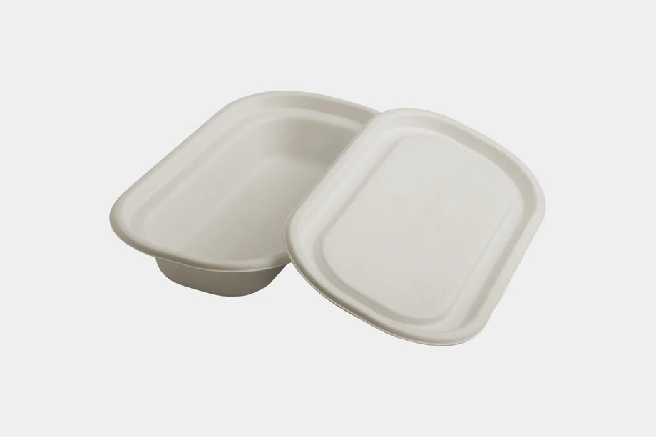 bagassefoodcontainerwithlidfrontview_2_.jpg