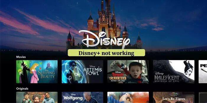 disneynotworking.jpg