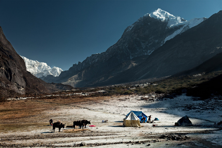 thangsinghimalayankanchenjungsregionsikkim20241103071453utcscaled.jpg