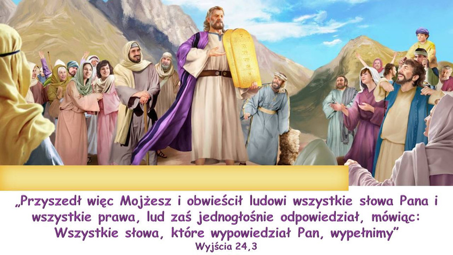 pl_vm2025t310.jpg