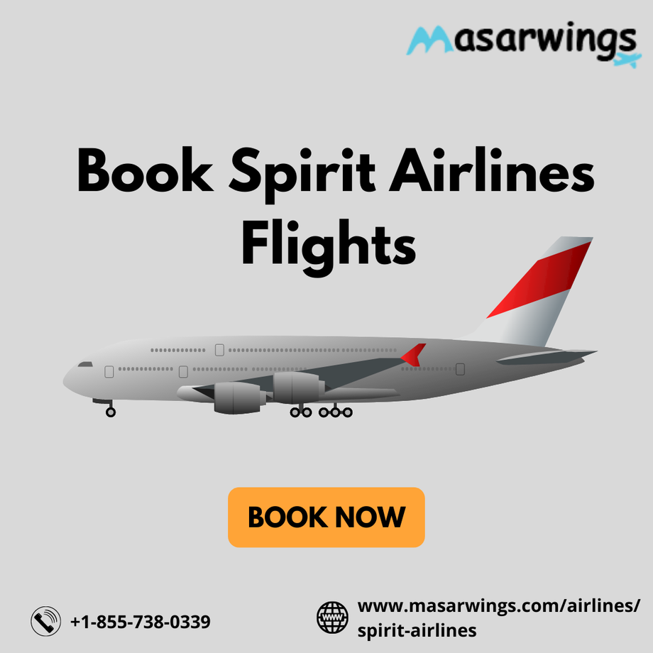 spiritairlinesflights.png