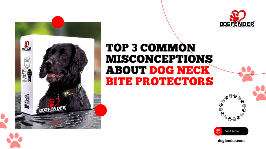 top3commonmisconceptionsaboutdogneckbiteprotectors.png